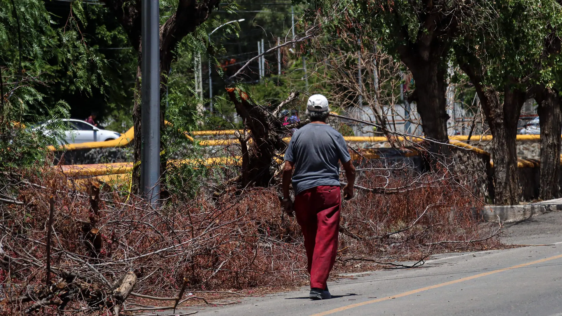 1A MC_BANQUETAS Y ARBOLES EN AV UNIVERSIDAD 3